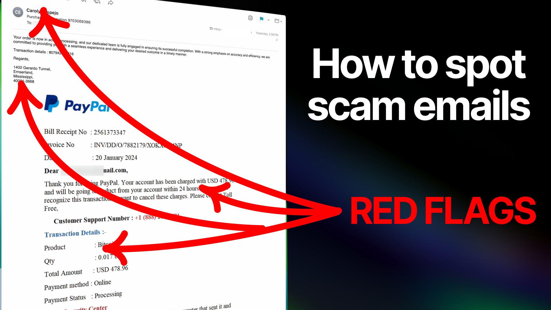 Using a real scam email to teach you how to spot a scam